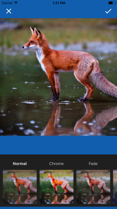 Animal World Wallpapers HD - Best Themes Mobile screenshot 2