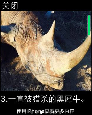 iPhone 屏幕快照 2