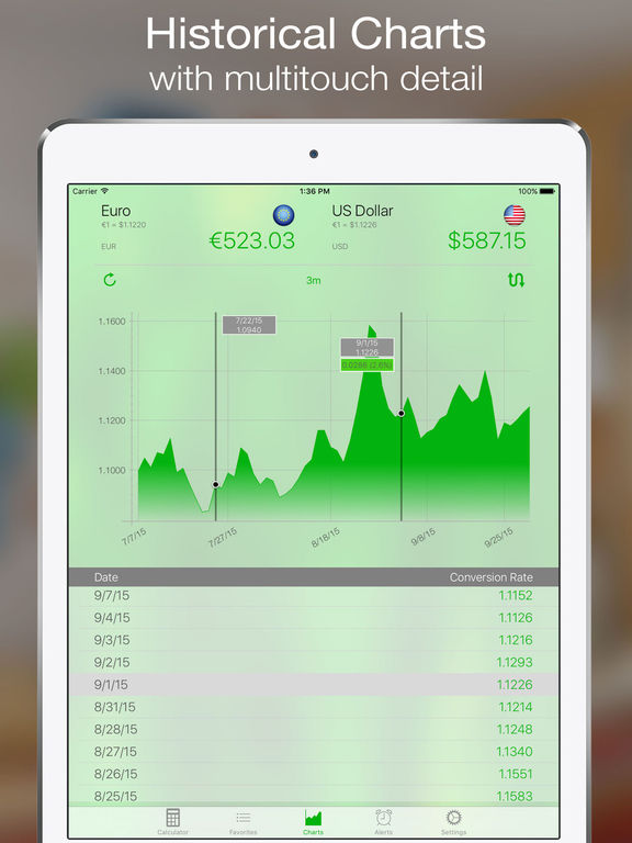 iPad Screenshot 4