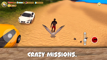 City Birds Simulator screenshot 3
