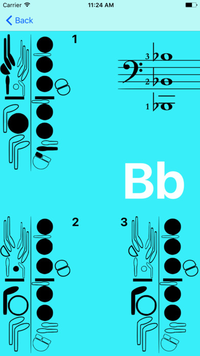 Clef Notes - Fingering Charts and Transposition screenshot 3