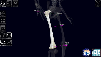 厦门医学院－3D人体解剖实训系统v1 screenshot 3