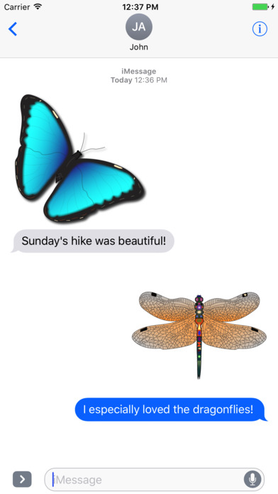 Butterflies & Dragonflies screenshot 2