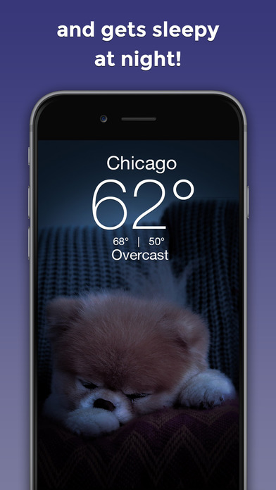 Boo Weather: Pomeranian Puppy screenshot 3