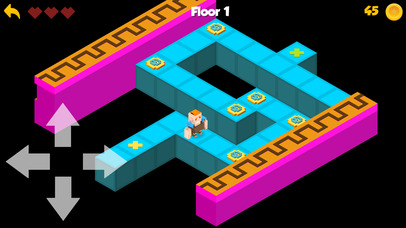 The Maze - pixels style games screenshot 2