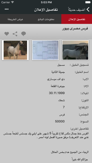 الحصان العربي screenshot 4