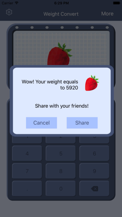 Weight Convert – Cute Converter For Fun! screenshot 2