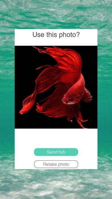 fish2duck screenshot 2