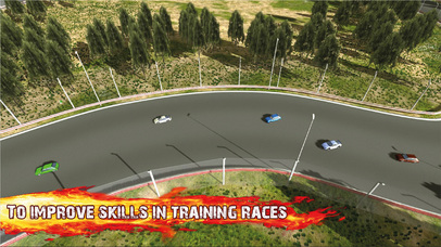 PRO Racing Revolution Cars screenshot 2