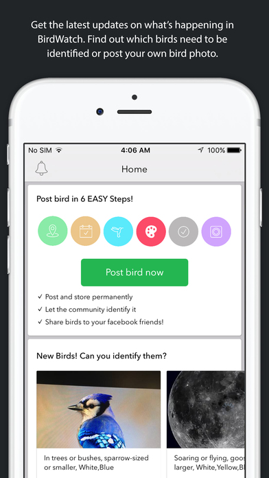 BirdWatch screenshot 3