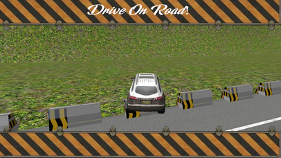 New City Car Parking Simulator - Fast Driving screenshot 2