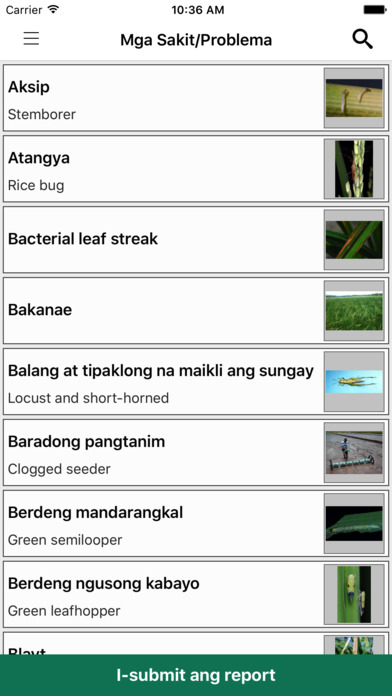 Rice Doctor Tagalog screenshot 3