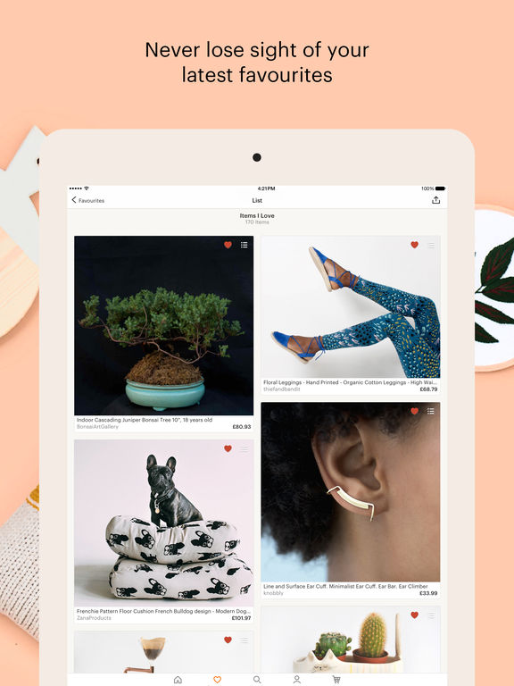 iPad Screenshot 5