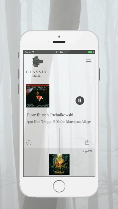 Classix Radio – DAB+ Webradio screenshot 2