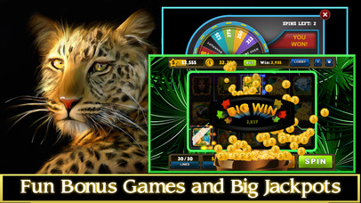 Wild Cat Slots Kingdom - Jackpot Casino screenshot 4