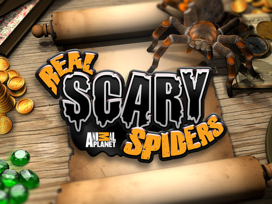 Real Scary Spidersscreeshot 1