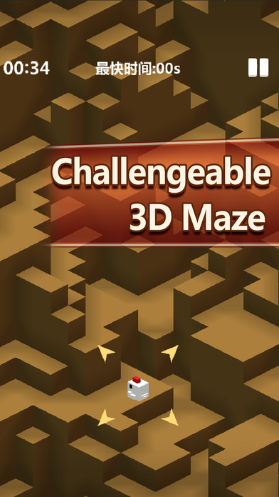 3D Maze:Chick looking for wife screenshot 3