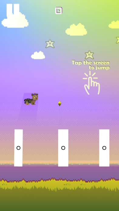 Mhysa - A Jumping Yorkie! screenshot 2
