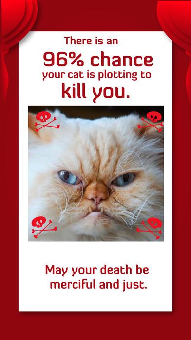 Is your cat plotting to kill you? screenshot 3