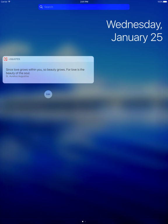 iPad Screenshot 3