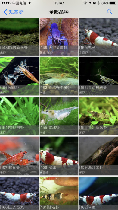 水族虾 screenshot 2
