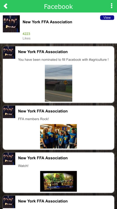 New York FFA screenshot 3