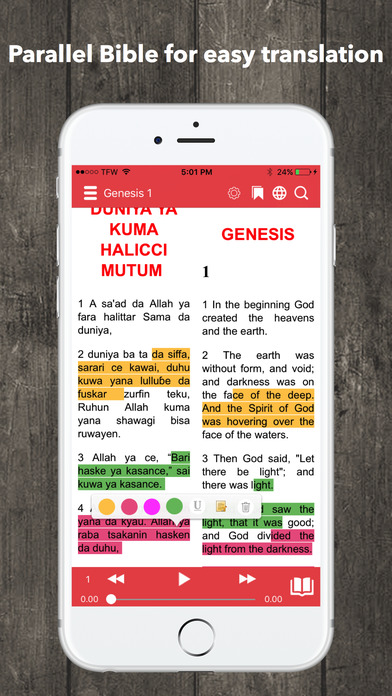 Hausa Bible Audio screenshot 2