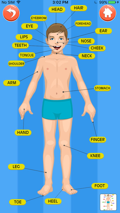 Learn about Body Parts screenshot 3