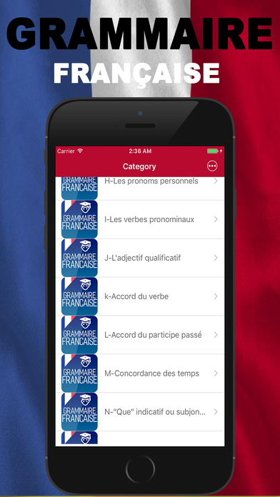 Grammaire Francaise screenshot 2