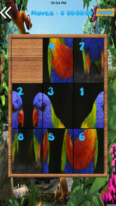 Amazing Birds Puzzles screenshot 4