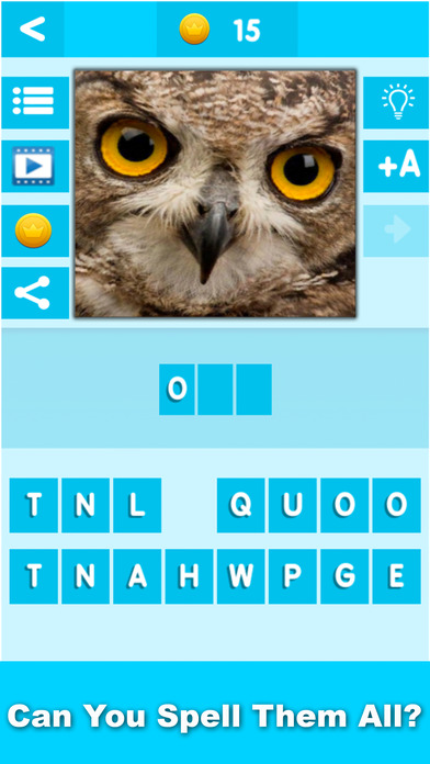 Animal Quiz Close Up : Guess the Word Trivia Games screenshot 2