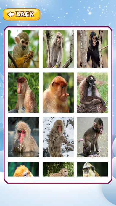 News Jigsaw For Learn Games Monkey Animal screenshot 2