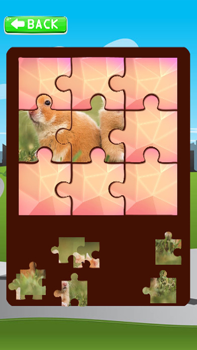 Puzzle Learning Games For Hamster screenshot 3