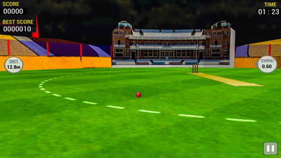 Cricket Run Out 3D screenshot 2