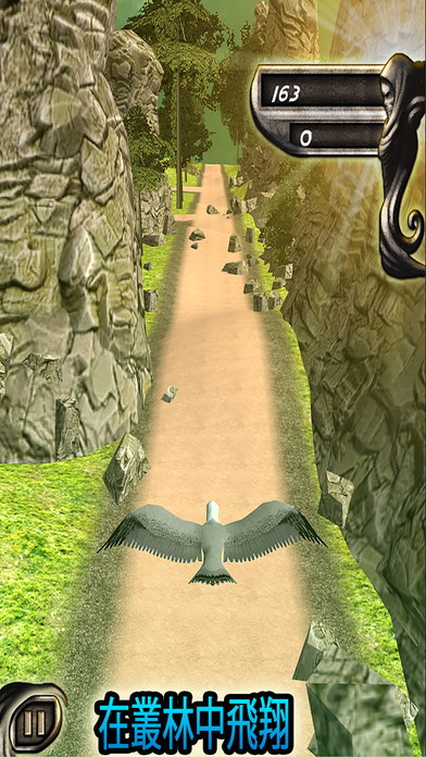 叢林鳥飛逃避風險 screenshot 3