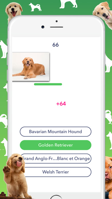 Dog Quiz - Which dog is that? screenshot 2