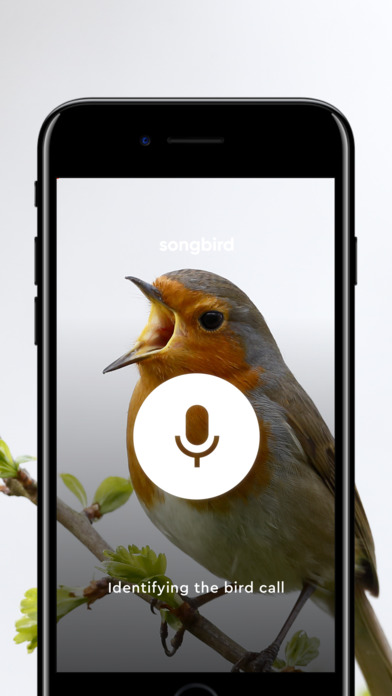Songbird. screenshot 2