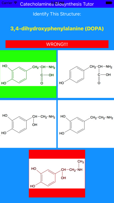 Catecholamines Synthesis Tutor screenshot 2