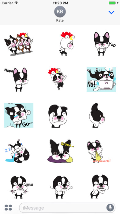 Boston Terrier Animated Sticker screenshot 2