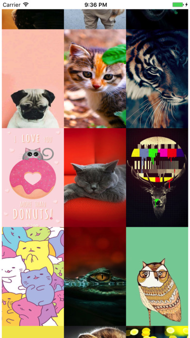 Animals wallpapers - pictures of cute pets . screenshot 2