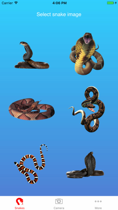 Snake on Screen Prank screenshot 2