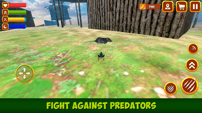 Grasshopper Insect Life Simulator 3D screenshot 3