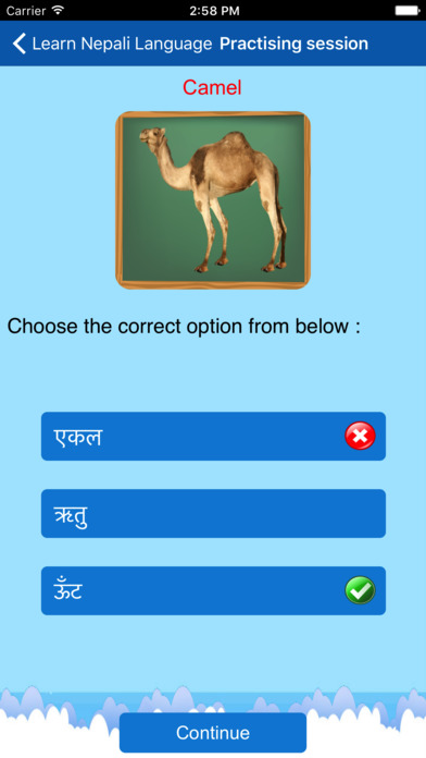 Learn Nepali Language screenshot 3