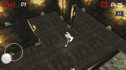 Maze Runner:3D Escape Plan screenshot 2