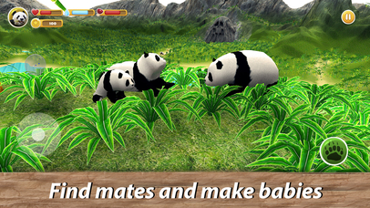 Panda Family Simulator Full screenshot 3