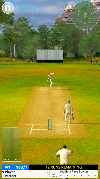 Cricket Megastar screenshot 2