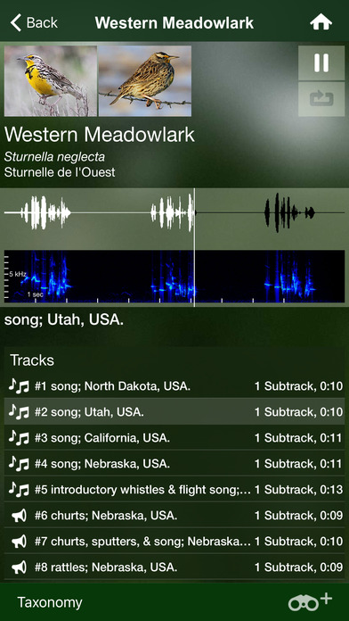 Bird Songs USA & Canada (3100) screenshot 4