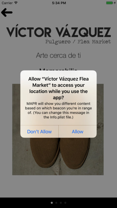 Victor Vazquez Flea Market Exhibition App screenshot 4