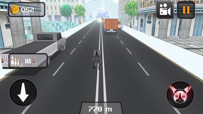 Kitty Cat Rush 3D Game screenshot 4