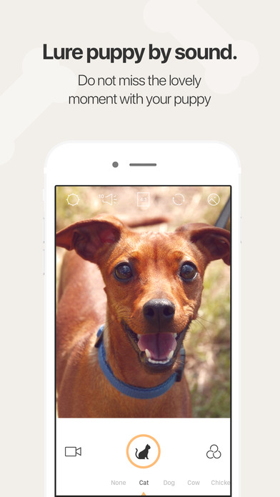 Snapup - The moment with your puppy screenshot 2